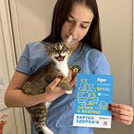 Image: Person holding cat that has been vaccinated